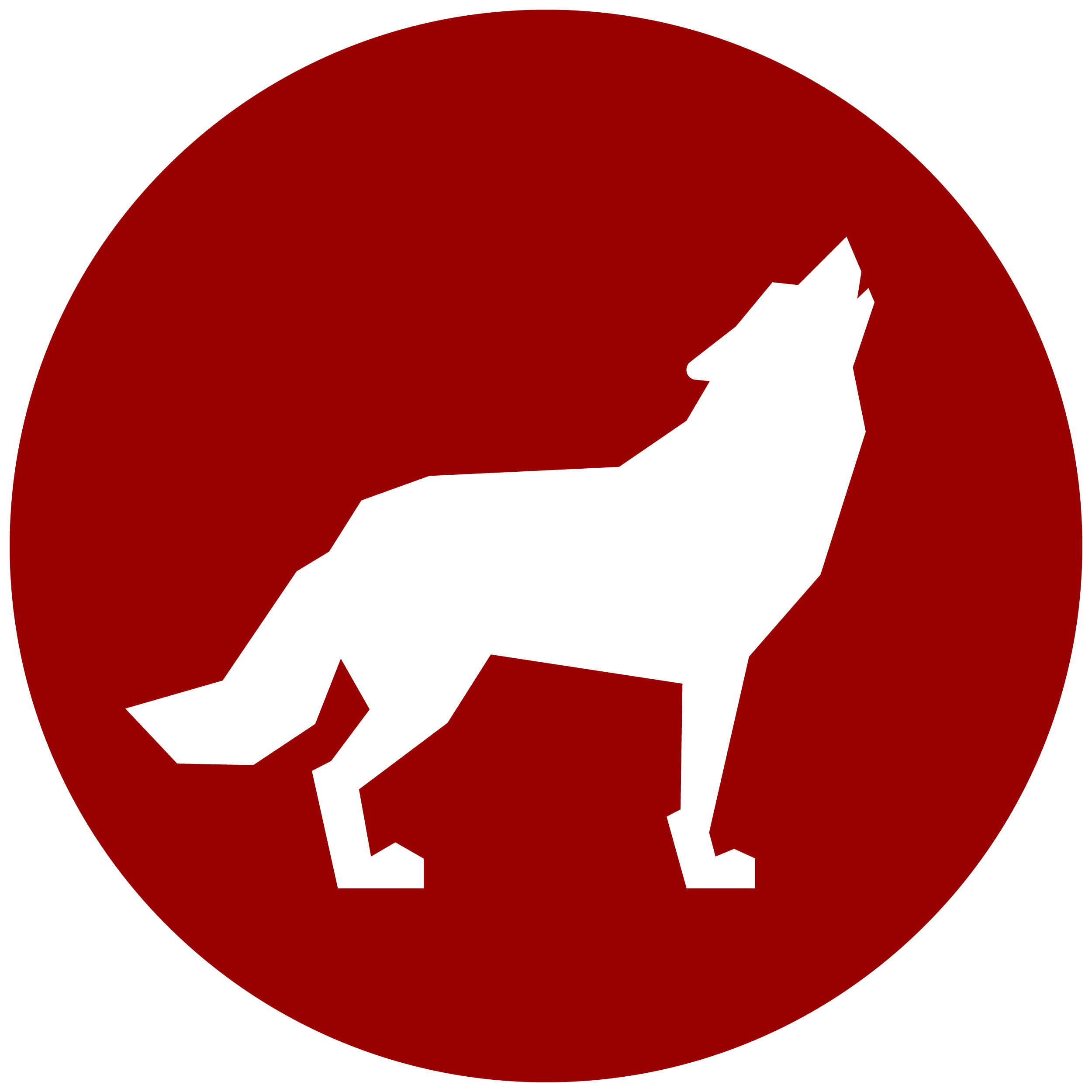 NC State University